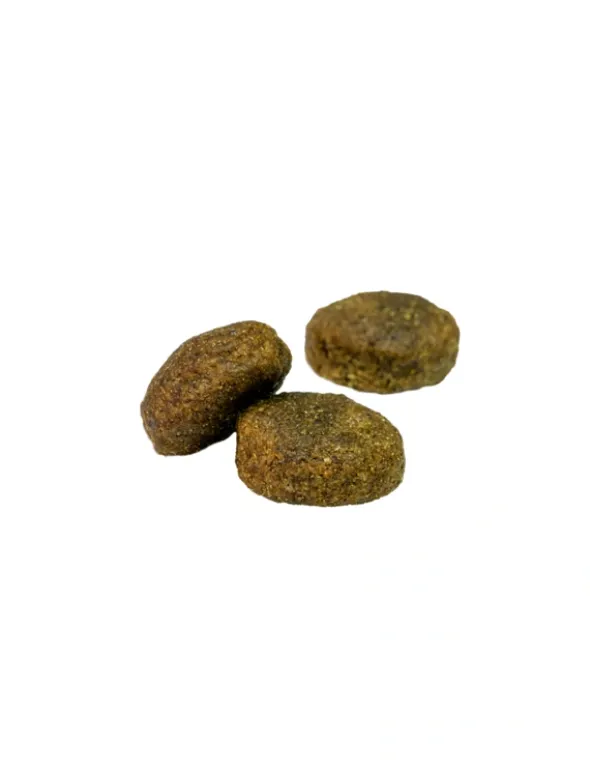WILDKIND Adult Grand Lake Lachs 1kg