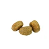 WILDKIND Adult Madison Sea Ente 1kg
