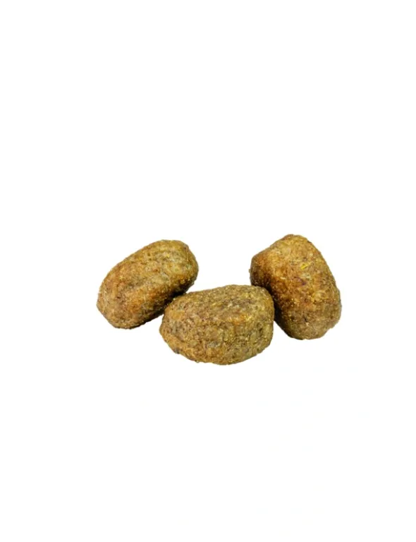 WILDKIND Adult Madison Sea Ente 1kg