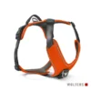 WOLTERS Active Pro Comfort Geschirr anthrazit, rotorange S