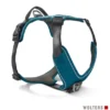 WOLTERS Active Pro Comfort Geschirr anthrazit, petrol S