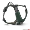 WOLTERS Active Pro Comfort Geschirr anthrazit, grün S