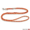 WOLTERS Everest Führleine orange 2 m/9 mm