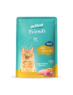 12 x activa Friends Adult Gans an Pute 85g