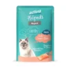 12 x activa Friends Adult Ragout Lachs 85g