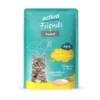 12 x activa Friends Adult Ragout Huhn 85g