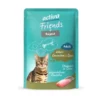 12 x activa Friends Adult Ragout Kaninchen 85g