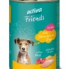 6 x activa Friends Junior Hühnchen mit Rind 400g