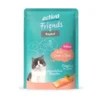 12 x activa Friends Kitten Ragout Lachs 85g