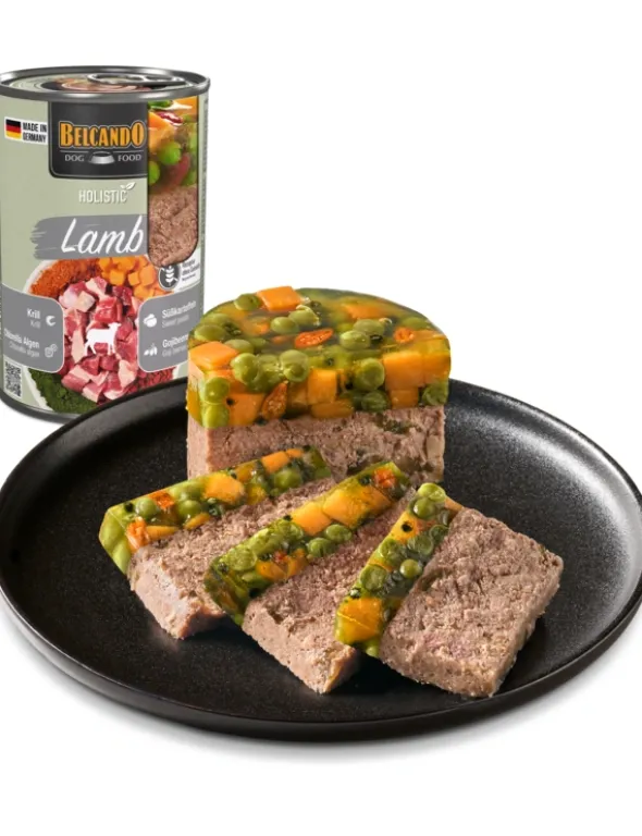 6 x BELCANDO Holistic Lamm 400g