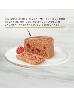 12 x GOURMET Gold Feine Pastete Forelle 85g