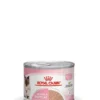 12 x ROYAL CANIN Mother & Babycat Mousse 195g