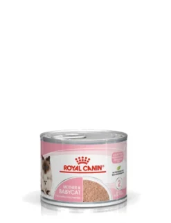 12 x ROYAL CANIN Mother & Babycat Mousse 195g