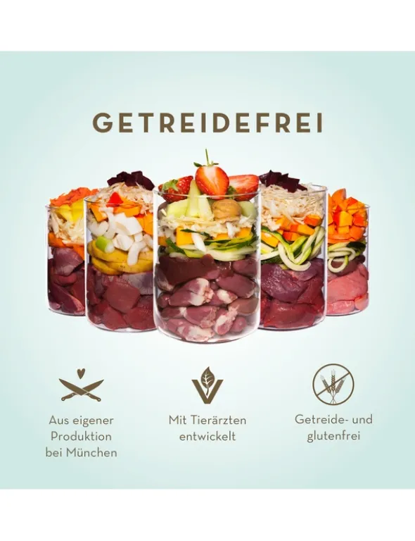 6 x Terra Canis getreidefrei Wild mit Kartoffeln, Apfel & Preiselbeeren 800g
