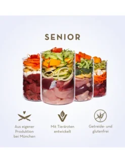 6 x Terra Canis Senior Wild mit Tomate, Apfel & Gesundheitskräutern 400g