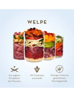 6 x Terra Canis Welpe Lamm mit Zucchini, Fenchel & Magerjoghurt 400g